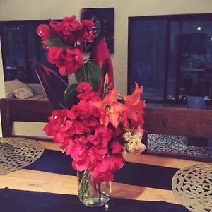 Escarabajo Rojo Bed and breakfast Tulum